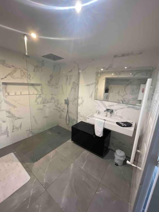 Grand Appartement Avec Vue Magnifique - Vercors - Une Experience Unique - Wifi Gratuit Grenoble Dış mekan fotoğraf